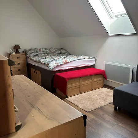 Σπίτι διακοπών Kralikarna Králíky